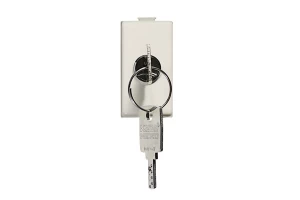 INTERRUPTOR BIPOLAR  C/LLAVE 16A MARFIL BTICINO REF A5007D