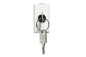 INTERRUPTOR (9/24) 16A -250V A.C. CON LLAVE BTICINO COD REF AM5007D