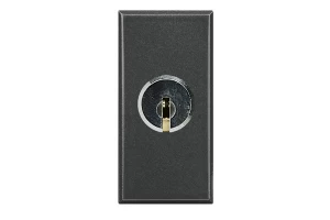 INT. 3 Vï¿½AS (9/24) C/ LLAVE 16A 250V - OSCURO BTICINO COD REF HS4022