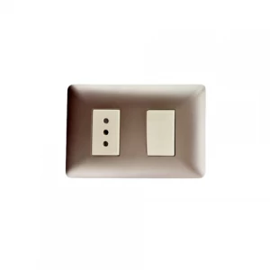 Interruptor Simple 9/12 Con Enchufe 10a 250v Champagne Stanford