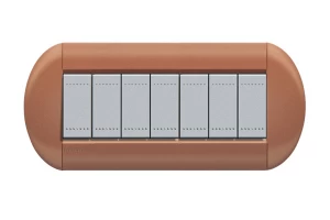 PLACA ELIPTICA 7 MODELO LIVING LIGHT . TERMINACION SIENA BTICINO COD REF LNB4807SI