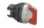 CABEZA SELECTOR LUM ROJA LEGRAND  REF 024051