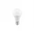 Ampolleta Led 9w 12v/24v E-27 Luz Fria-global